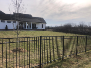 A newly installed black metal fence surrounding a large residential property by Fence & More in Elizabethtown, KY