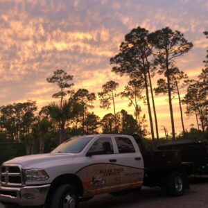 A Blaze Tree Service Inc truck parked near tall pine trees at sunset in Orlando, FL