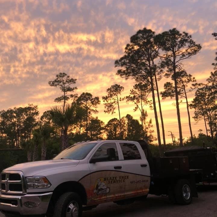 A Blaze Tree Service Inc truck parked near tall pine trees at sunset in Orlando, FL