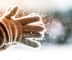 A blue roll-off dumpster with the Whitecap Waste logo, available for rental services in Beckley, WV.