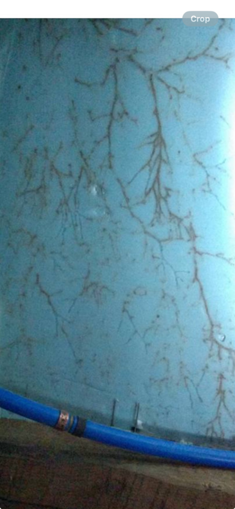 A blue surface with branching patterns, possibly mold or mineral deposits, indicating a cleaning or remediation service by AnderCall Professional Services LLC in Seaford, DE.