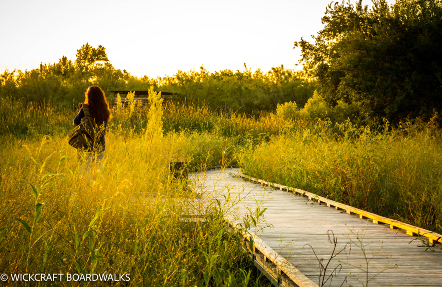 A person walking on a beautiful boardwalk at sunset in a grassy field by Wickcraft Boardwalks in Madison, WI.