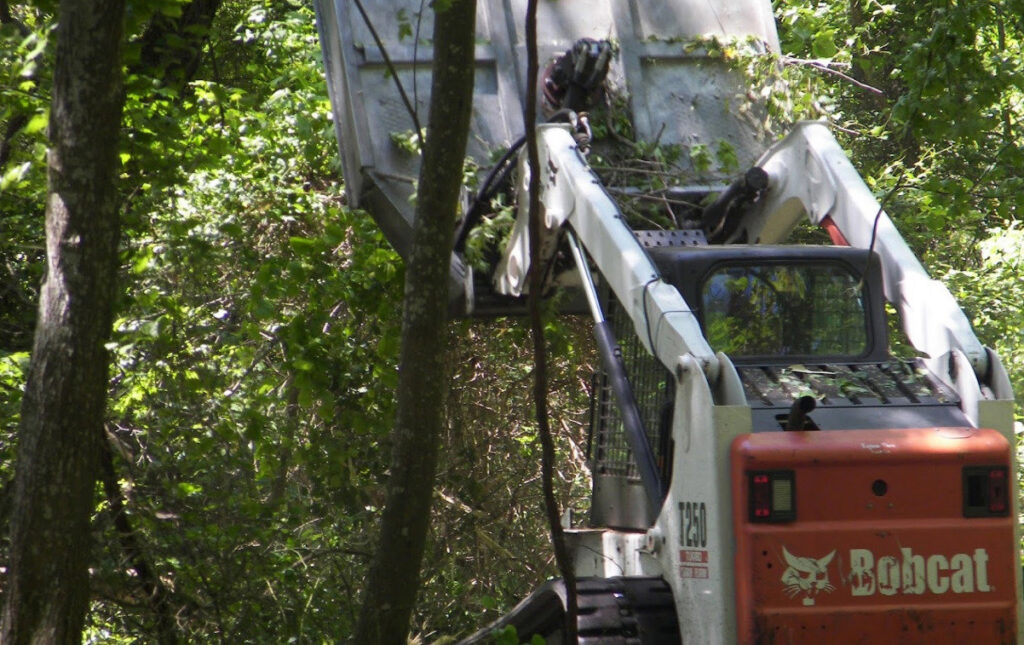 A Bobcat skid-steer loader with a grapple attachment clearing brush for Marshall's Tree Service in Virginia Beach, VA