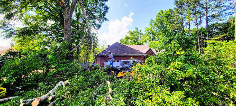 A Bobcat skid steer operated by a worker clearing tree debris after a tree service job by J & K Tree Service in Robbins, NC.