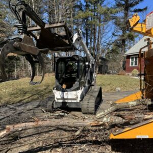 A Bobcat skid steer feeding tree branches into a wood chipper during a cleanup by Tip Top Tree Service in Hudson, NH.