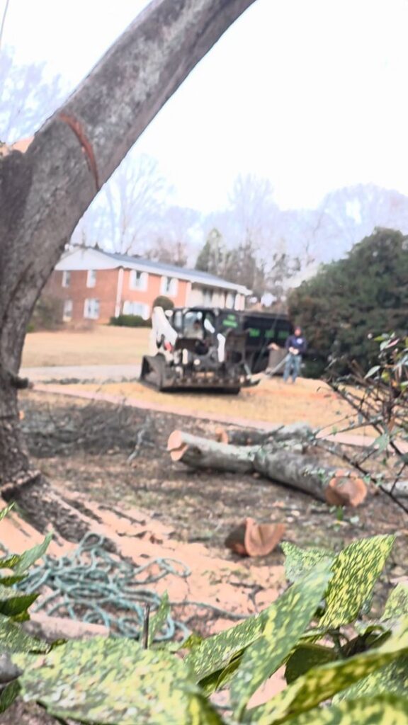 A bobcat skid steer with a grapple attachment clearing tree debris for Morales Services in Greenville, SC.