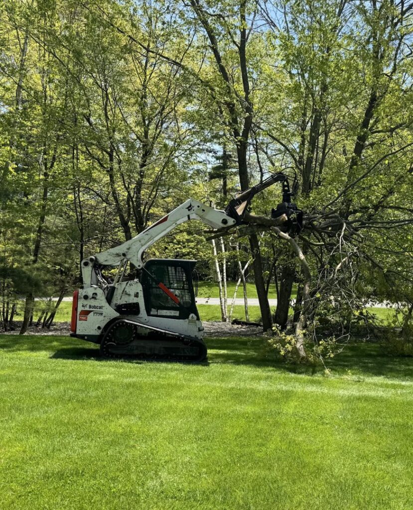 A Bobcat skid steer with a grapple attachment moving large tree branches for Tip Top Tree Service in Hudson, NH.
