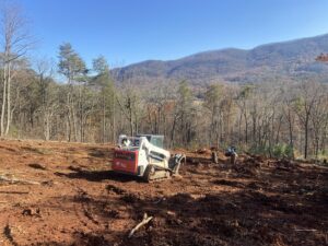 A Bobcat skid steer loader on a cleared plot of land with tree stumps, performing land clearing for Elite Tree Service in Knoxville, TN.