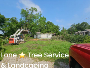 A Bobcat skid-steer loader moving tree debris and clearing land for Lone Star Tree Service & Landscaping in Fort Worth, TX.