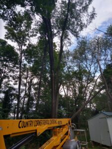 A boom lift positioned next to a tall tree during a tree removal or trimming project by Rustyn Page Landscaping in Harrisburg, PA.