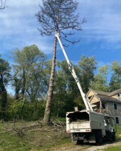 A boom lift truck extended to trim a tall, dead tree during a job by El tree service in Columbus, OH.