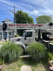 A branded Mike's Professional Tree Service crane truck with its boom extended, parked on a residential street in Coventry, RI.