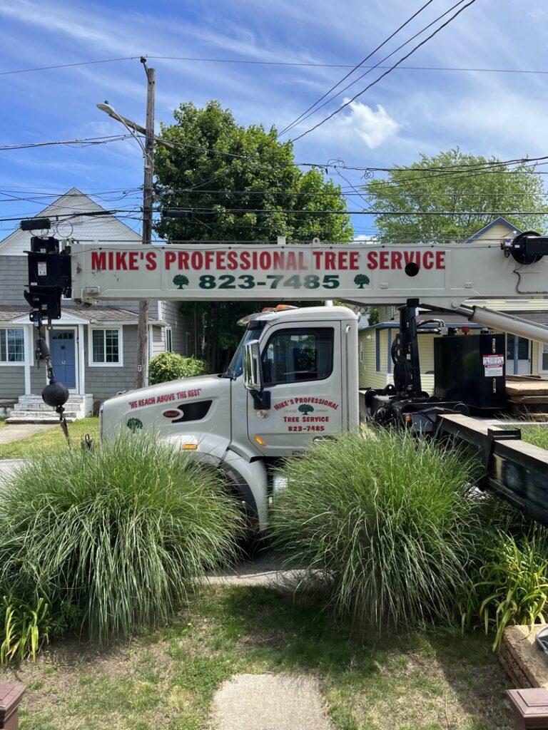 A branded Mike's Professional Tree Service crane truck with its boom extended, parked on a residential street in Coventry, RI.