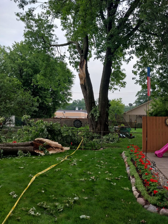 A large broken tree with fallen branches in a backyard, indicating storm damage cleanup by Good Ol' Boys Tree Service in Lebanon, CT.