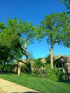 A large broken tree branch and debris in a residential yard, showing storm damage, handled by Personal Touch Tree Service in Dallas, TX.