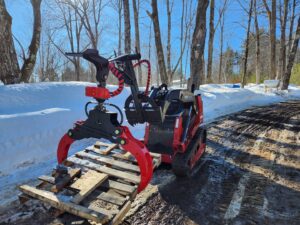 A large tree with a broken branch near a house, indicating a need for Cassella Tree Service in South Portland, ME.