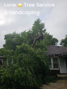 A large broken tree branch fallen onto a house, showing storm damage requiring tree service from Lone Star Tree Service & Landscaping in Fort Worth, TX.
