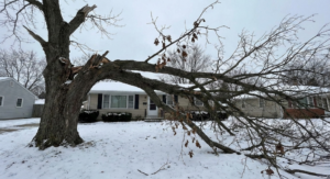 A large tree with a broken branch extending over a house, showing storm damage, ready for service by Abbas' Arbor Care LLC in Kansas City, MO.