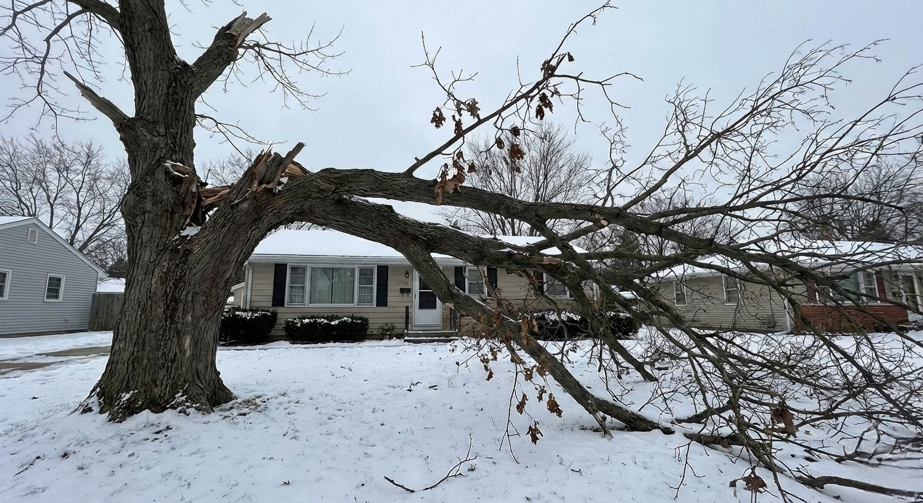 A large tree with a broken branch extending over a house, showing storm damage, ready for service by Abbas' Arbor Care LLC in Kansas City, MO.