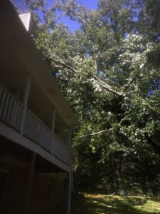 Large broken tree branch hanging over a house, indicating emergency tree service work by Jon's Tree Service in Pelham, AL.