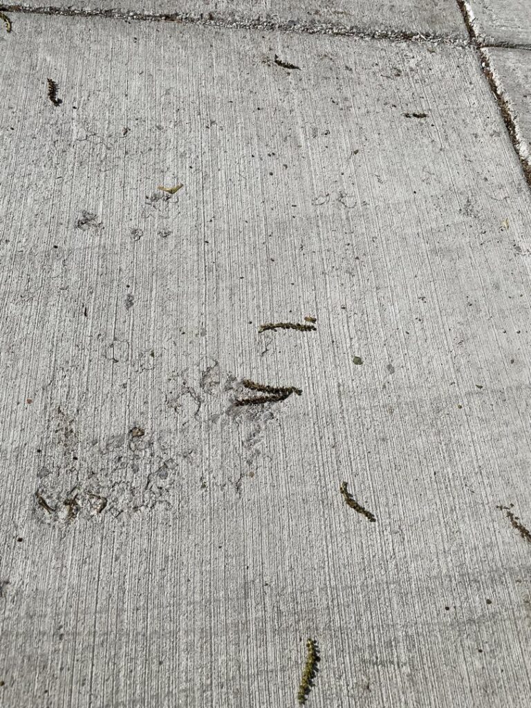 A close-up of a broom finish concrete surface texture, a common finish provided by concrete poured & installed - cp&i in Buffalo, NY.