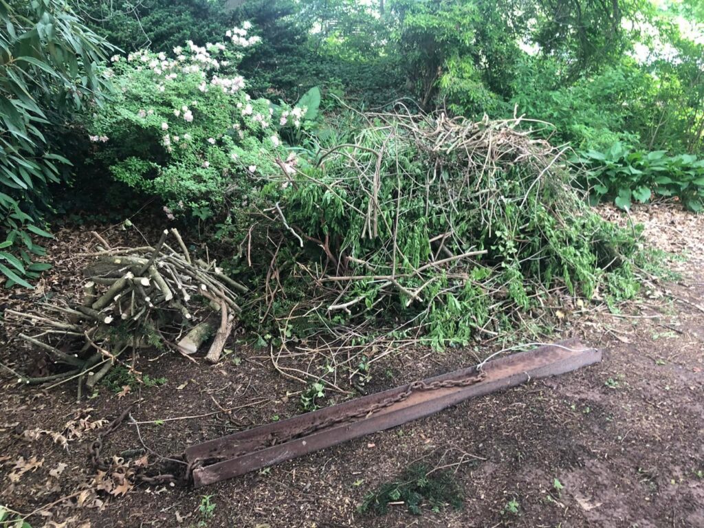 A pile of cut branches and logs ready for brush removal service by Junk Lockdown LLC in Lancaster, PA.
