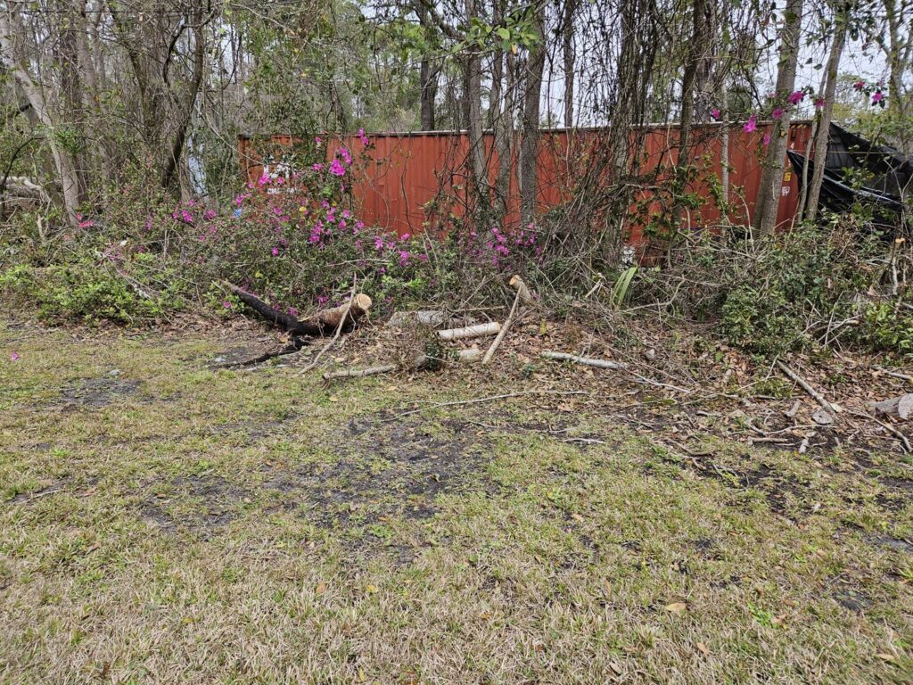 A large pile of cut branches and brush debris in a wooded area, demonstrating land clearing by Ayla Tree Service in Bloomingdale, GA.