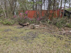 A large pile of cut branches and brush debris in a wooded area, demonstrating land clearing by Ayla Tree Service in Bloomingdale, GA.