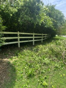Cleared brush and tree branches along a white fence line after a service by Elite Tree Service in Knoxville, TN.