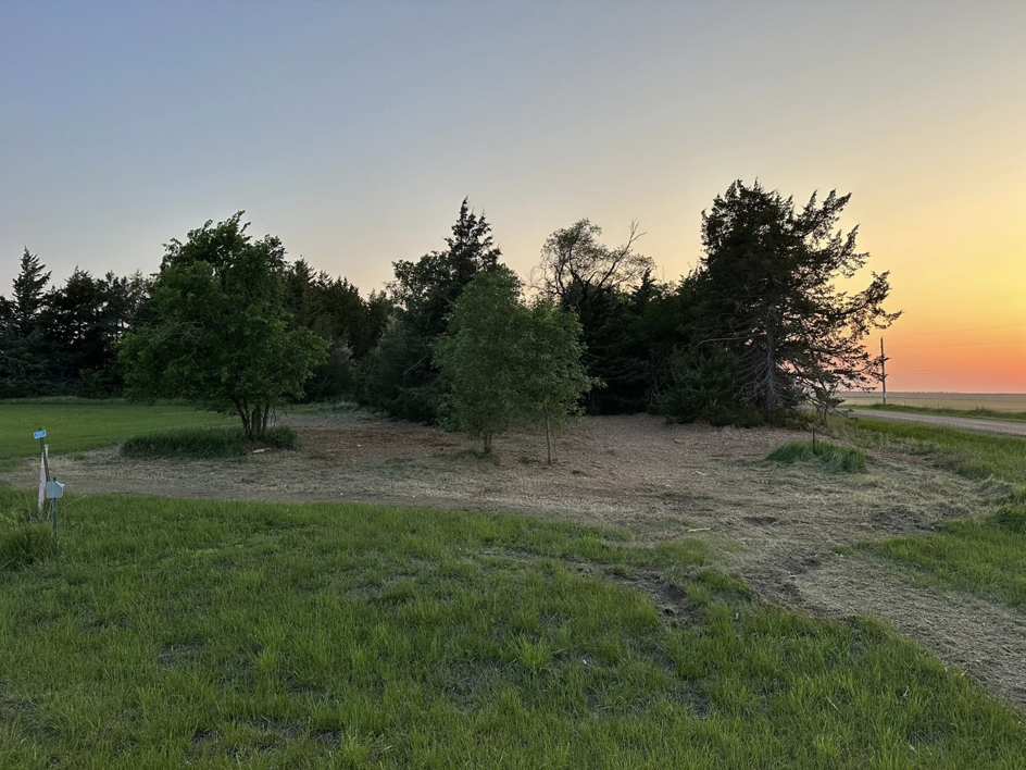 Brush clearing and land preparation services by Dakota Timber Clearing LLC in Wagner, SD