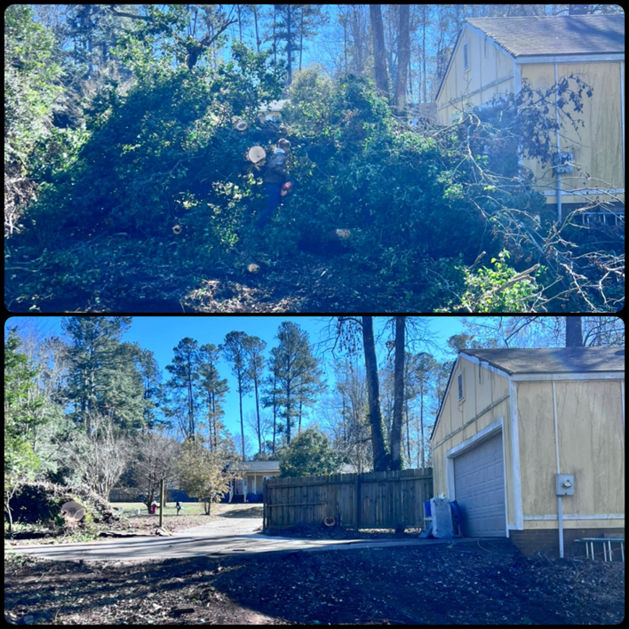 Before and after of brush and tree debris removal service by Robert & Sons Tree Service in Augusta, GA