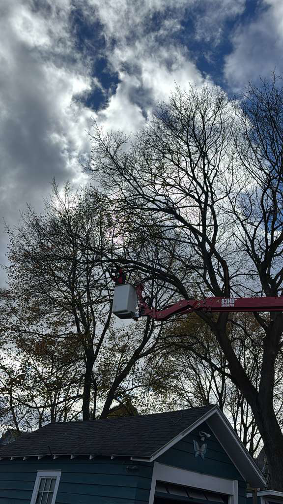 A bucket lift positioned near a bare tree over a garage, indicating tree service work by KD Tree Service Charleston, SC.