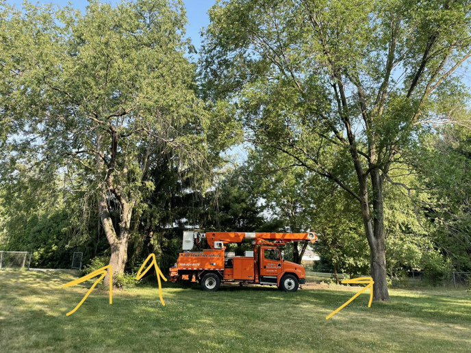 An orange bucket truck from Top Down Tree Service LLC parked between two large trees in Janesville, WI, ready for tree work
