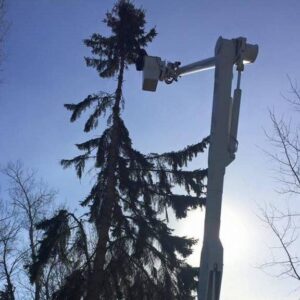 A bucket truck positioned next to a tall evergreen tree, ready for tree service work by Beaver Creek Tree Service in Penns Grove, NJ.