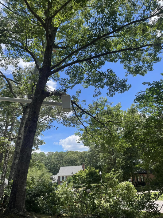 A bucket truck extended to perform tree pruning or removal services by Northeast Alabama Tree Experts LLC in Anniston, AL.