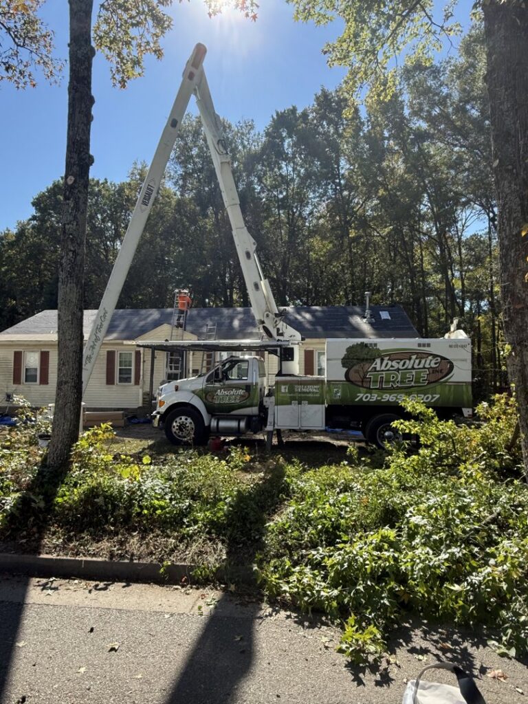A bucket truck with its boom extended for tree trimming near a residential property by Absolute Tree, Inc. in Alexandria, VA.