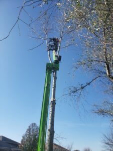 A tree service worker in a bucket truck performing tree trimming on a tall tree for Butler's Tree Service in Point of Rocks, MD.