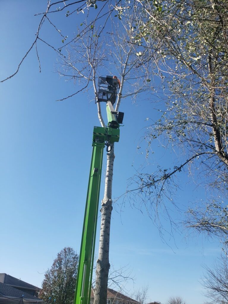 A tree service worker in a bucket truck performing tree trimming on a tall tree for Butler's Tree Service in Point of Rocks, MD.