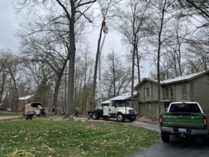 A bucket truck and crew performing tree trimming and removal services for Longtree Tree Service in Southfield, MI.