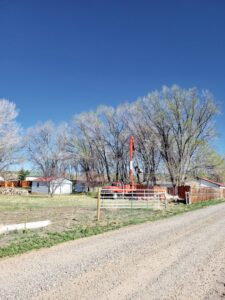 A bucket truck carefully trimming a tree near power lines for R and J Tree Service in Farmington, NM.