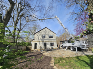 A bucket truck used for residential tree trimming services by Apex Tree Service, LLC in Huntsville, AL.