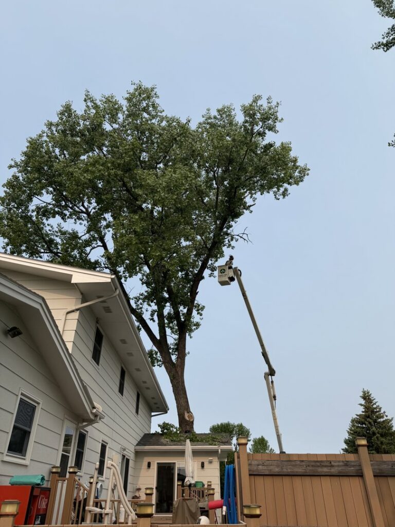 A bucket truck extended to trim a large tree next to a residential house by Dakota Tree Company in Aberdeen, SD