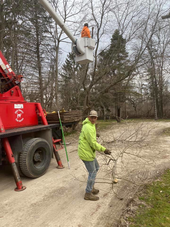 A worker on the ground and another in a bucket truck performing tree trimming for Stick Chasers Tree Service in Racine, WI.