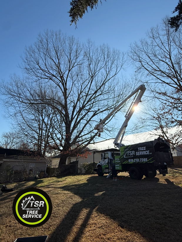 A TSR Tree Service, LLC bucket truck positioned for tree trimming or removal in Wake Forest, NC.