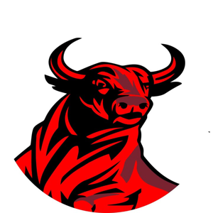 Bull City Painting & Roofing