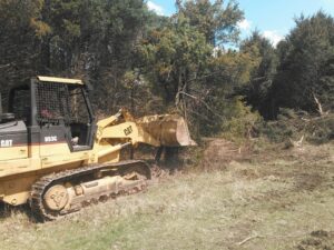 A bulldozer clearing brush and small trees in a wooded area, showing land clearing services by KT Farms, Tree Service & Logging LLC in Springfield, MO.