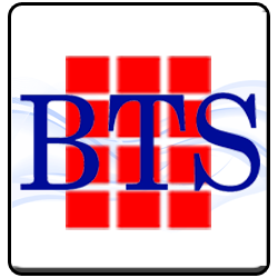 Business Technology Systems