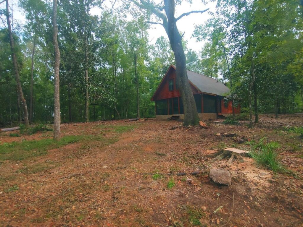 A cabin in a wooded area with cleared trees and visible stumps, showing land clearing by Abbott Tree removal in Tallahassee, FL.