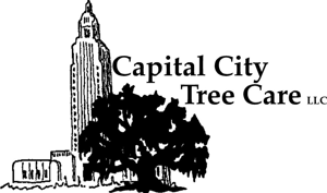 Capital City Tree Care