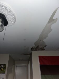 Ceiling showing significant water damage and peeling paint, ready for repair by Naples Roofing & Sheet Metal LLC in Buffalo, NY
